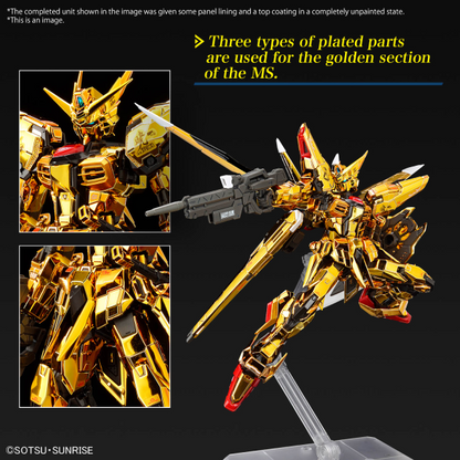 RG 1/144 Akatsuki Gundam Oowashi Plastic Model Kit