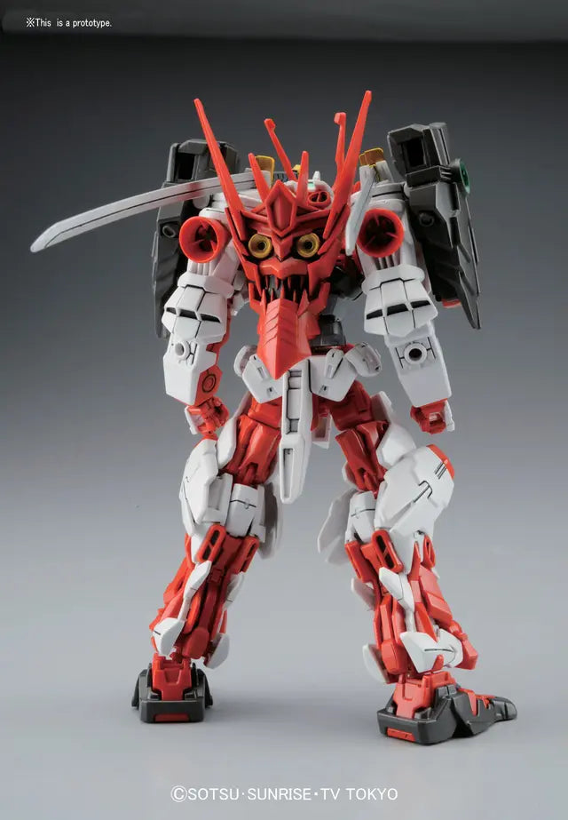 HG 1/144 Sengoku Astray Gundam Plastic Model Kit