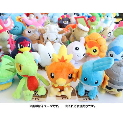 Pokémon Plush - Pokemon Fit - Torchic (No.255)