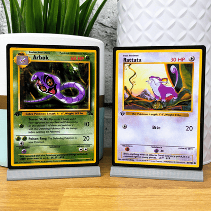 Pokemon Card Display Stands 1-50 (XXL)