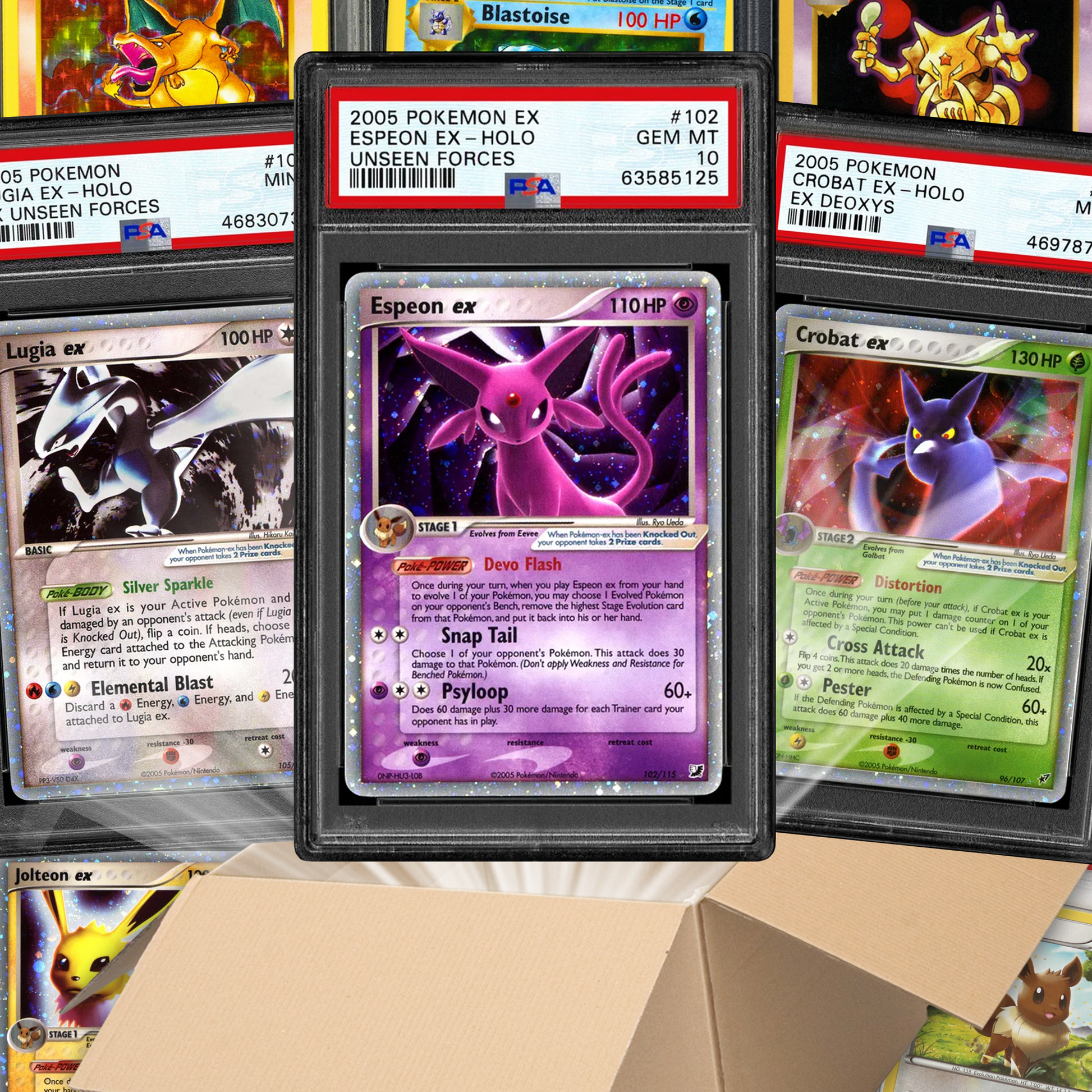 Pokmon Card GRADED Box! | PTC Collectibles Pokmon Card GRADED Box! | PTC Collectibles
